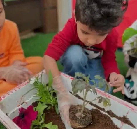 Caring for Plants and Learning Patience